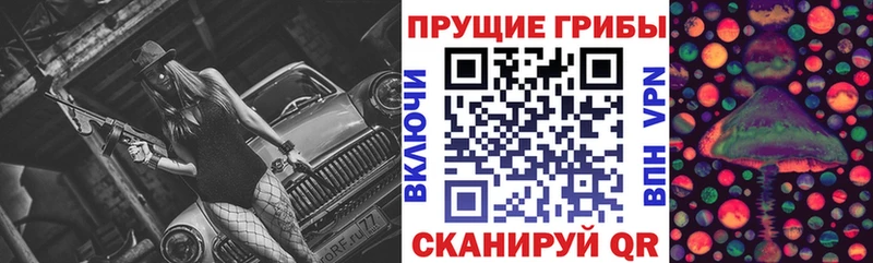 Галлюциногенные грибы Psilocybine cubensis  Купить  Первоуральск 